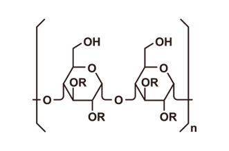 アシル化 α(アルファ)-1,4グルカンとは